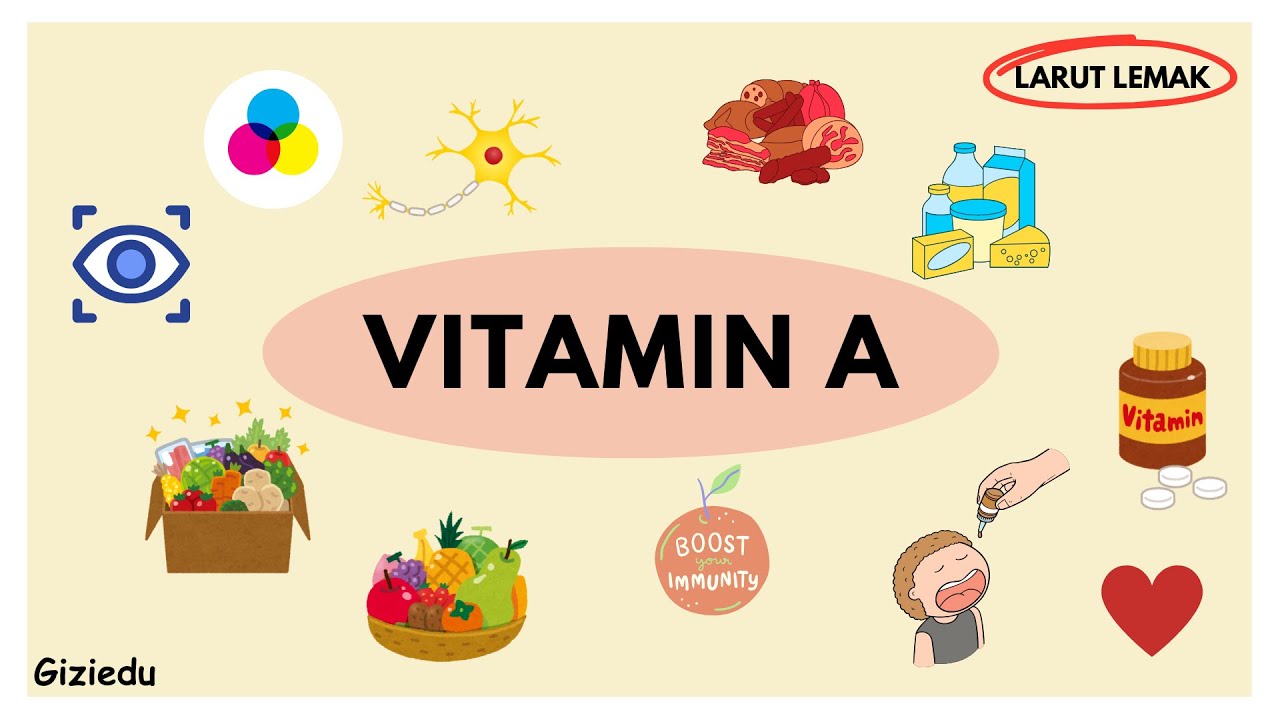 Vitamin A | ILMU GIZI DASAR