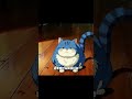20260330抖音猫咪