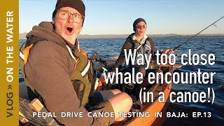 Way Too Close Whale Encounter while Fishing for Baja Yellowtail in our Canoe!
