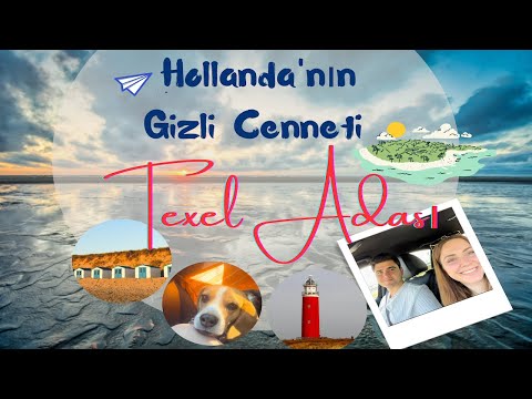 Video: Texel Adası - Hollandiya Tətil Məlumatı