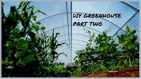 DIY Greenhouse: Part II-Hoops in Place