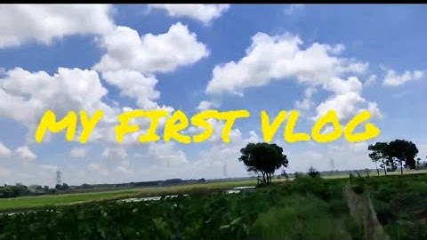 my first vlog #myfirstvlog #myfirstvlogviral #myfirstvlog2022