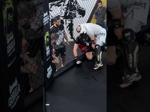 Хабиб и Ислам Махачев в углу - это легендарная связка #ufc #mma #islammakhachev #khabib
