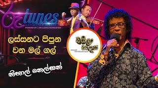 Video-Miniaturansicht von „Lassnata Pipuna | ලස්සනට පිපුන වන මල් ගල් | Nihal Nelson | Baila Sadaya“