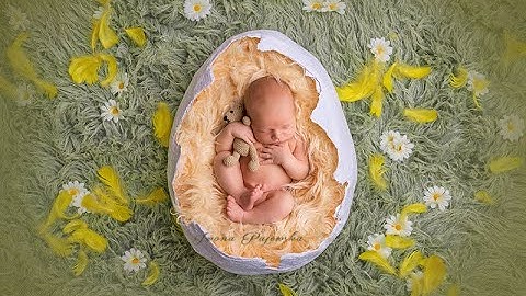 Newborn digital backdrop Easter Egg How to use digital backdrop  - tutorial Photoshop