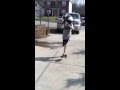 Copy of Kid schools daddy in basketball