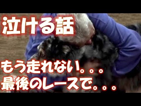 年を重ねてきたふたり　もう走れないけれど…最後のレース、涙の抱擁 相互登録 【感動する話】【涙腺崩壊】