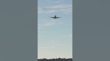 Pilot entered runway in front of landing | MSFS