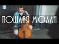 Пошлая молли - Любимая песня твоей сестры (cover by Tchaikovsky trio)