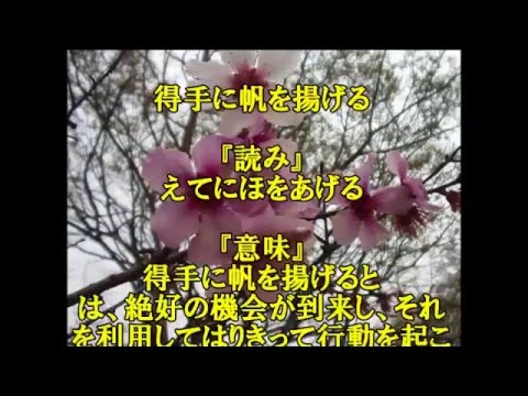 得手に帆を揚げる Youtube 得手に帆を揚げる Youtube