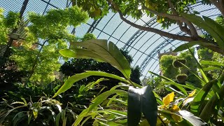 Jardín Botánico de la Universidad de Valencia, Spain เดินชมสวนพฤกษศาสตร์ในบาเลนเซีย ประเทศสเปน by Thai Wayfarer ไทยเดิน 46 views 6 months ago 11 minutes, 54 seconds