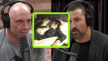 Neuroscientist Andrew Huberman on the Essential Role of Sleep in Learning New Skills