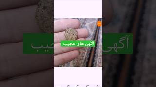 اعتماد به نفس یا حماقت