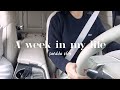A Week In My Life/일주일 일상 기록 브이로그