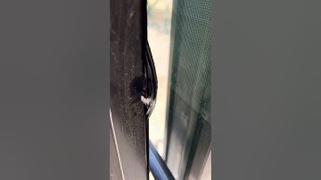 Heartland Torque Slideout Seal Replacement