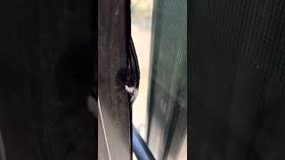 Heartland Torque Slideout Seal Replacement