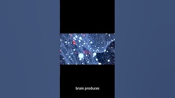 Your Brain Can Power a Lightbulb #BrainFacts #WeirdScience #FunFacts #DidYouKnow #MindBlowing