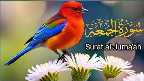 Surah Al-Jumu’ah(سورة الجمعة مکرر 11)By Sheikh Qari Muhammad Ijaz  [Full] with Aarbac text {HD}
