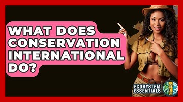 What Does Conservation International Do? - Ecosystem Essentials