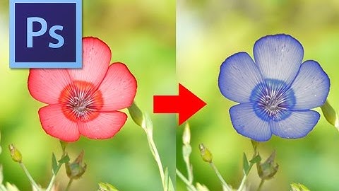 [Easy Photoshop] Change the Flower color!