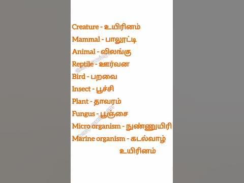 Creatures | உயிரினங்கள் #tamil #english #englishthroughtamil #