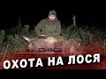 Охота на лося. Зря я делал этот выстрел...