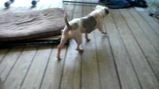 DSCF1053.AVI
