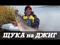 ЩУКА МОНСТР! Ловля крупной щуки и судака осенью на Каме. Камский джиг 2019. Kamfish