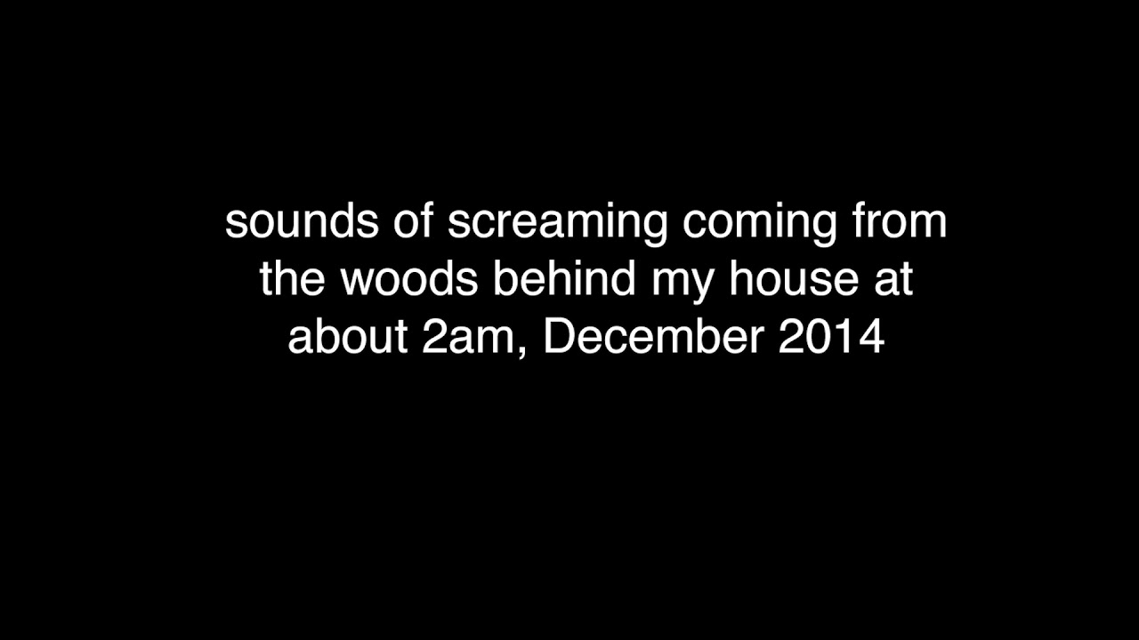 unexplained screaming coming from the woods YouTube
