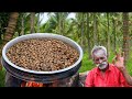 GARLIC!!! Mushroom Prepared by my Daddy Arumugam / Village food factory