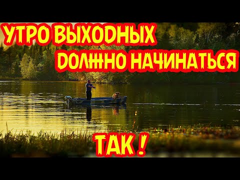 Приколы на рыбалке 2021//Я ржал до слёз на рыбалке//НЕОБЫЧНЫЕ СЛУЧАИ НА РЫБАЛКЕ//ВЕСЁЛАЯ РЫБАЛКА//