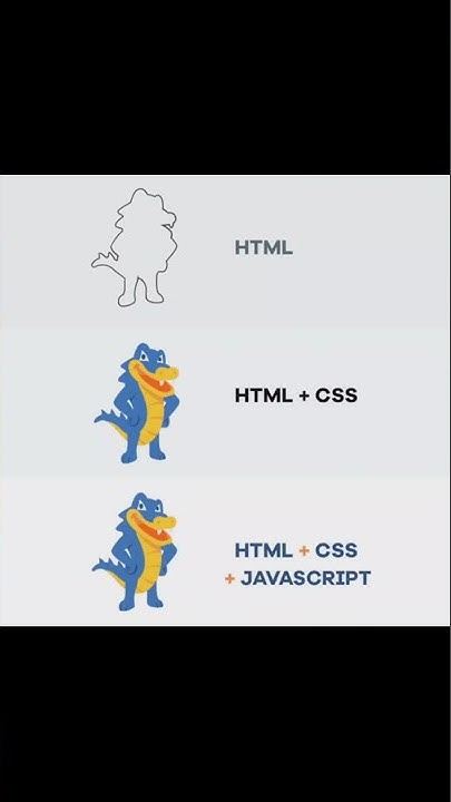 HTML VS CSS VS JAVASCRIPT - YouTube