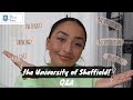 University of Sheffield Q&A (basically everything you'll need to know as a fresher) | Sophia Rami