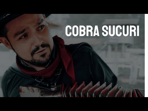 Cobra Sucuri - obra de Gildo de Freitas eternizada na voz de Teixeirinha 🎶😄✨