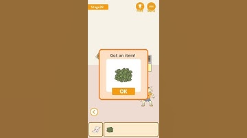 HIDE MY TEST - STAGE 39