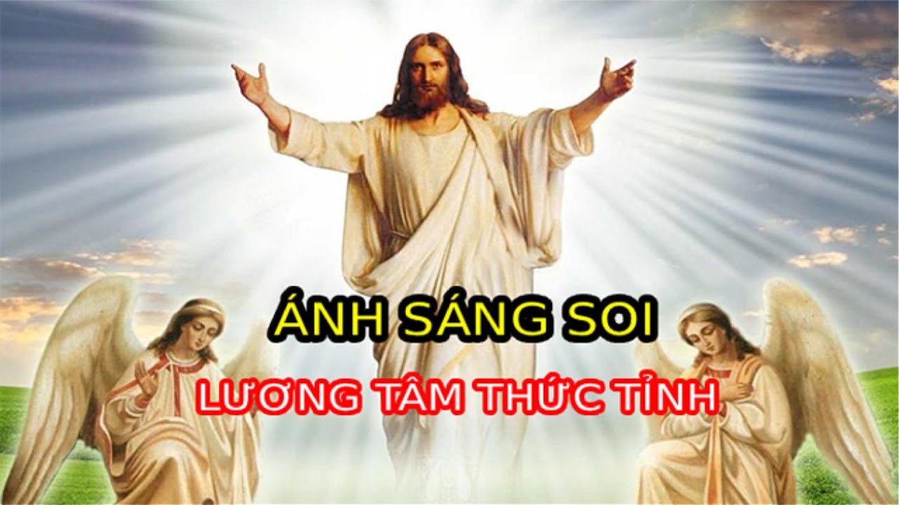 Ánh Sáng Của Lương Tâm Nỗi Đau, Nước Mắt Và Hy Vọng