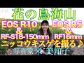 【撮影術】EOS R10＆R5で鳥海山のニッコウキスゲを撮る！RF16mm STMも初撮り♪