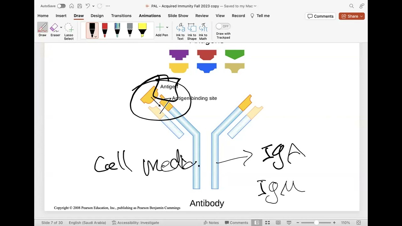 WBC and Immunity | Khaled Hamsho | FND 111 PAL review session