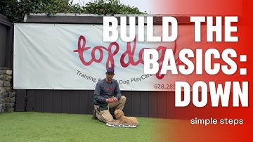 Teach Your Puppy “Down” – Step 1: Using a Lure | Top Dog SF