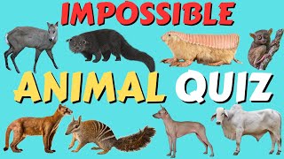 Can You Ace This Exciting Animal Quiz for Kids? | Level  Impossible