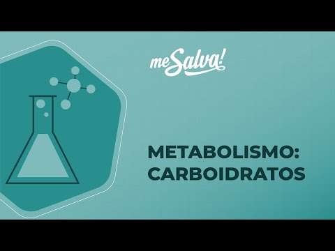 Metabolismo – Carboidratos