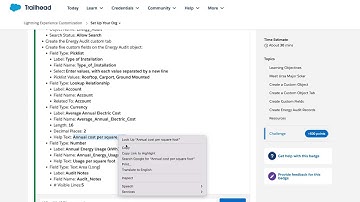 Create a Custom Object and Custom Fields