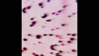 Gotzzy - Gotta Know Official Audio