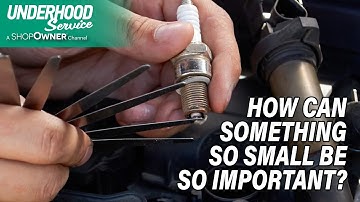 How Can Something So Small Be So Important?