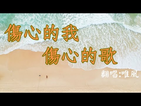 陳建瑋《傷心的我傷心的歌》cover by 唯風 翻唱 #台語歌