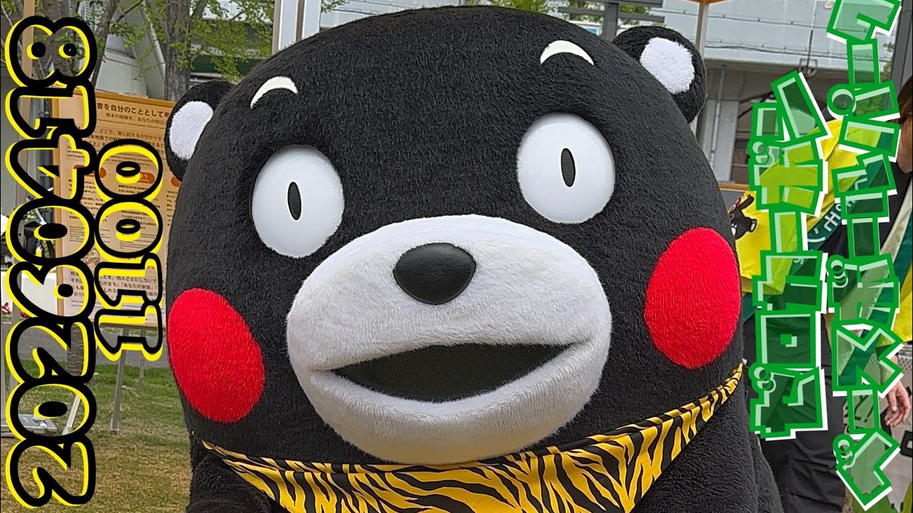 ① April 18, 2026 (11:00) Kumamon, wearing a tiger-striped bandana