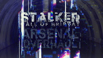 S.T.A.L.K.E.R. CoP #3 : Arsenal Overhaul mod moments