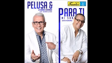 Pelusa y La Banda Caramba - Para Ti Mi Son