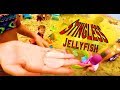 SHE TOUCHED A JELLYFISH!!!! | Vlog #7