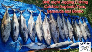 Epic Night Jigging Fishing, Big Waves and more Dogtooth Tuna's